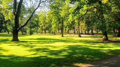 Парк Архангела Михаїла у Львові планують відремонтувати