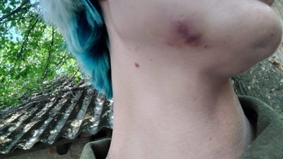Поліція Закарпаття проводить досудове розслідування щодо нанесення жінці тілесних ушкоджень співробітником ТЦКСП