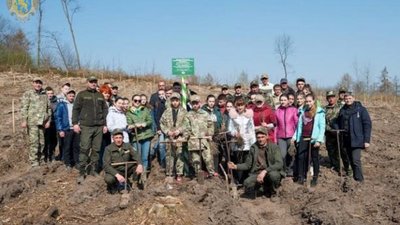 На Львівщині завершується весняна лісокультурна кампанія