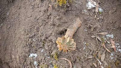 На Стрийщині вода вимила небезпечний спогад війни