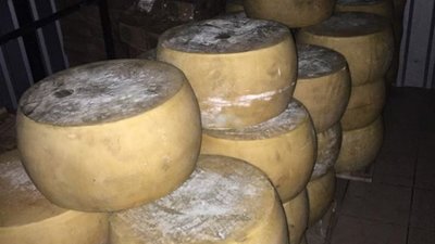 Працівники Галицької митниці виявили порушень на майже 130 мільйонів гривень (ФОТО)