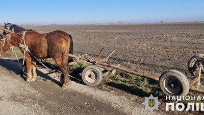На Львівщині загинув керманич підводи