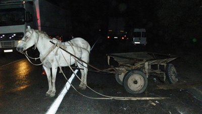 На Львівщині вантажівка розчавила гужову підводу: є загиблі