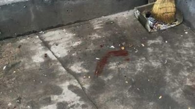 Копнув та розчавив голову на очах у дітей: у Львові двірник вбив голуба (ФОТО)