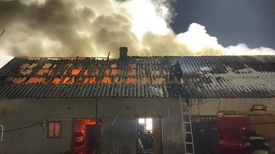 На Самбірщині з пожежі врятували свійських птахів