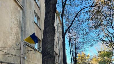 У Львові комунальники знищують дерева