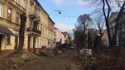 У Львові на Пекарській зрізали дерева (ФОТО)