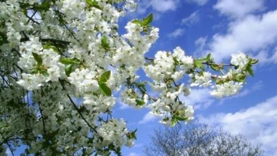 На Львівщині попередили про заморозки