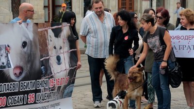 Львів долучився до Всеукраїнської акції "Україна — не живодерня" (ФОТО, ВІДЕО)