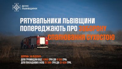 Яворівський район: в наслідок пожежі сухої трави чоловік отримав опіки
