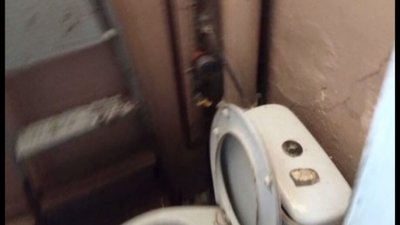 У Львові показали житло мрії за 33 тисячі доларів (ВІДЕО)