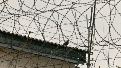 Зловмисника, який побив та пограбував вагітну, посадили під варту на Львівщині