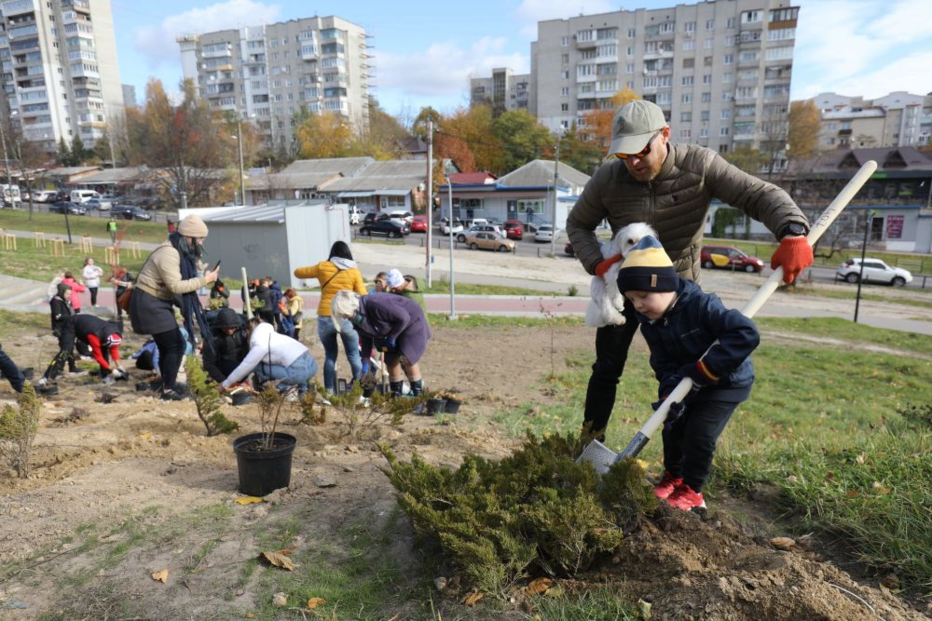 У Львові біля лікарні швидкої медичної допомоги висадили дерева, фото ЛМР