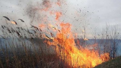 На Львівщині протягом доби ліквідували 6 пожеж сухостою та 2 пожежі торфу
