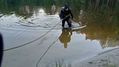 На Львівщині потонув хлопчик 2012 року народження (ВІДЕО)