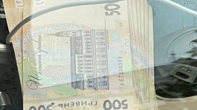 СБУ викрила ділків, які щомісяця вивозили з України до 30 фур деревини за фальсифікованими документами (ФОТО, ВІДЕО)