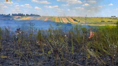 На Львівщині за добу ліквідували сім пожеж сухої трави