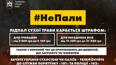 У Львові зафіксували 25 великих пожеж в екосистемах