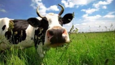У Львові пікетуватимуть Держгеокадастр
