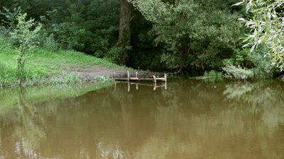 Трагічний пікнік на Львівщині: чоловік загинув на очах сім‘ї та друзів