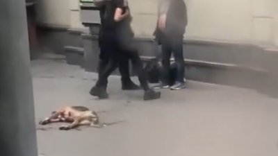 На вокзалі у Львові поліцейський знешкодив тварину, яка кидалася на людей