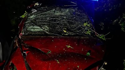 На Львівщині TESLA злетіла у кювет, є загиблий (ФОТО)
