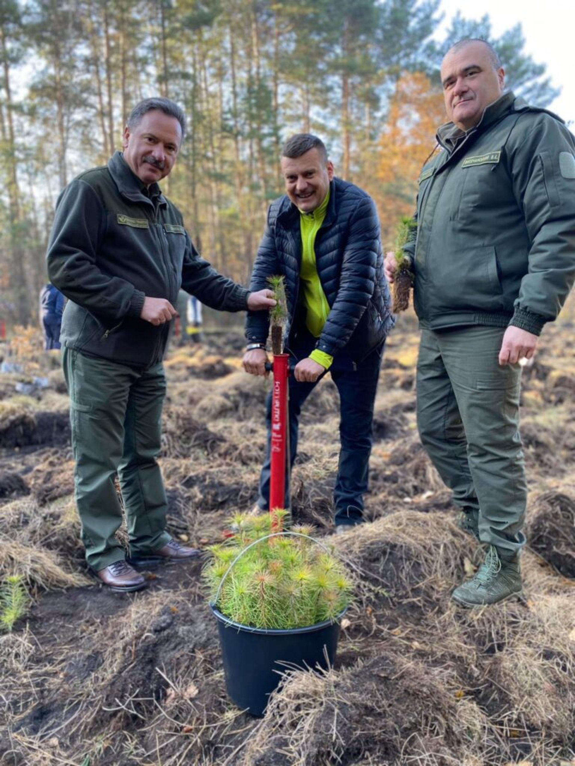 На Жовківщині висадили сосни і дуби