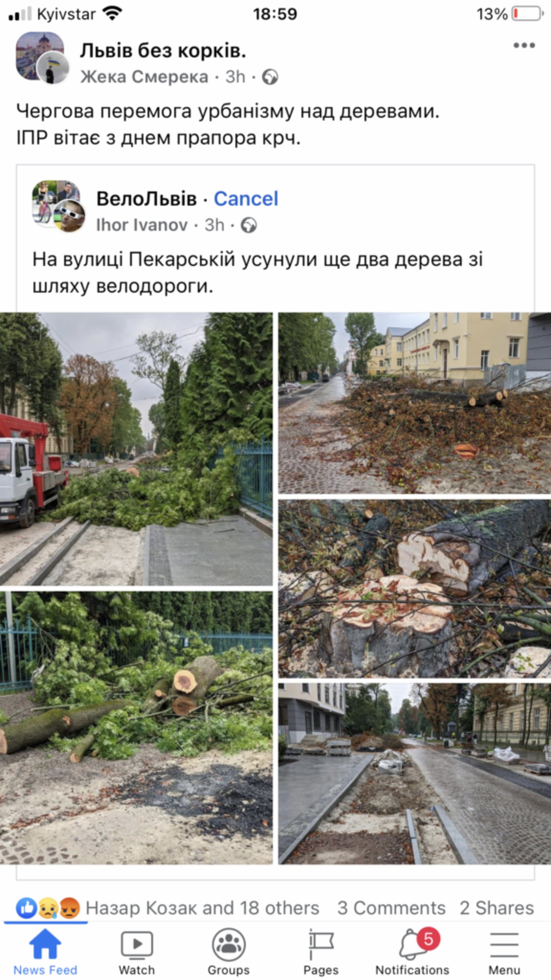 У Львові на Пекарській зрізали два дерева, фото ВелоЛьвів