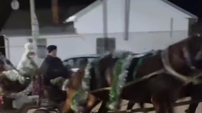 На Львівщині Миколай на підводі розвозив подарунки