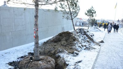 У Львові на Меморіалі пам’яті Героїв Небесної Сотні висадили сосни