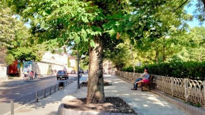 На вулиці Пекарській облаштували громадський простір за 100 тисяч гривень (ФОТО)