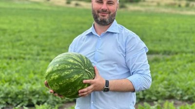На Львівщині вирощують кавуни