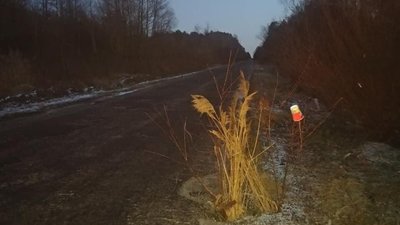 На Сокальщині утворилося провалля на дорозі (ФОТО)