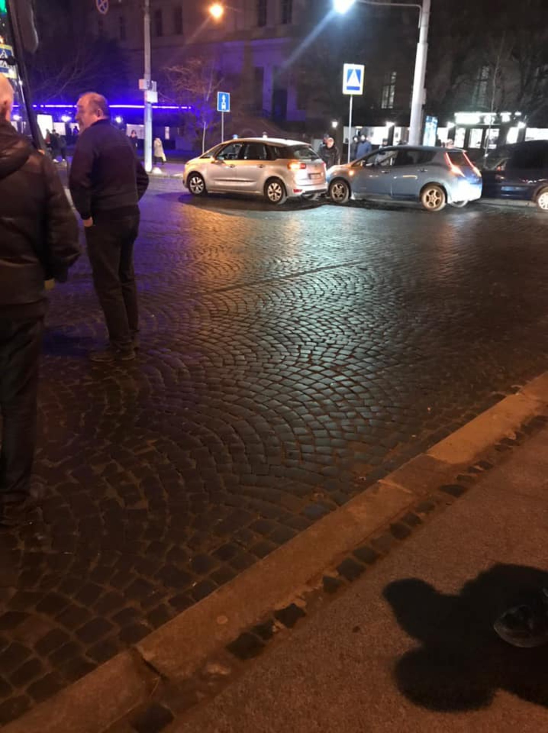 У центрі Львова зупинились тролейбуси. Фото Варта-1