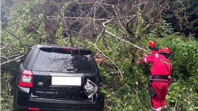 На Львівщині автомобіль злетів з траси через негоду (ФОТО)