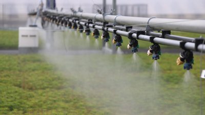 Обласна рада підтримала Програму розвитку лісового господарства Львівської області