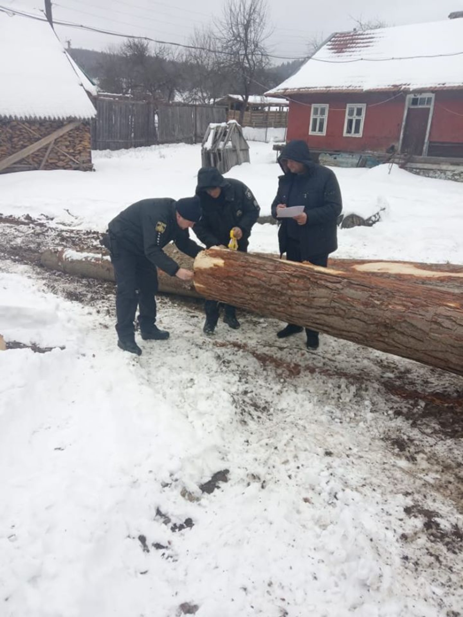На Львівщині виявили незаконну рубку дерев. Фото - поліція Львівської області