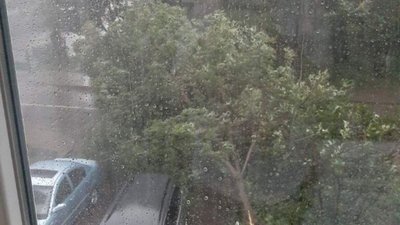 У Львові на Повітряній впало дерево (ФОТО)