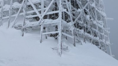 У Карпатах розквітла зима (ФОТО)