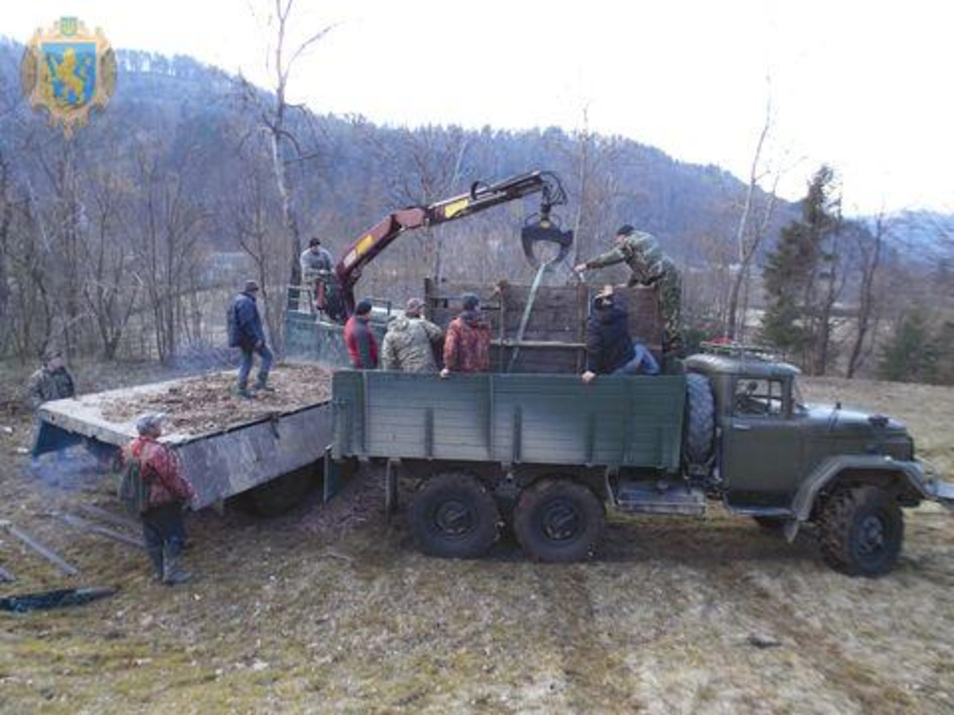 Екологи переселили самця зубра зі Сколівських Бескидів у Чернівецьку область