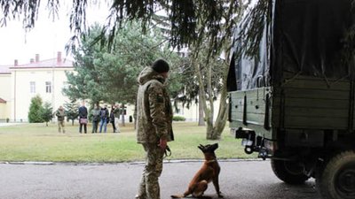 У Великих Мостах відбувся випуск інспекторів-кінологів з пошуку тютюну