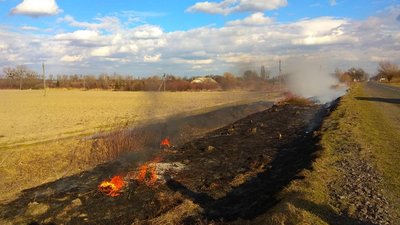 На Жовківщині "на гарячому" спіймали паліїв