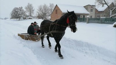 На Львівщині конем чистять сніг (ФОТОРЕПОРТАЖ)