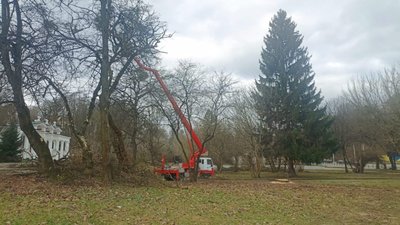 У Львові перед входом у парк вирубали дерева (ФОТО)