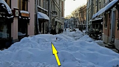 У центрі Львова автомобіль бізнесмена із Австрії нарешті визволили від снігу (ВІДЕО)