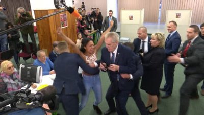 Напівоголена активістка Femen накинулася на Земана на виборчій дільниці