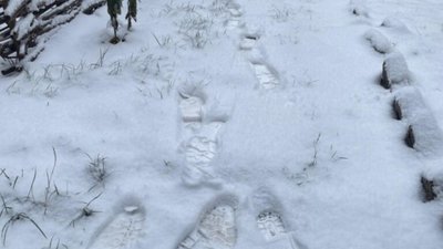 У центрі Львова мешканці будинку платять за послуги, які не отримують (ФОТО)