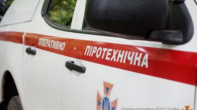 Небезпечні знахідки: на Львівщині знешкодили два застарілі боєприпаси