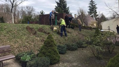 У львівському Домі Франка відновили сад (ФОТО, ВІДЕО)