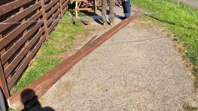 У Львові огорожа Парку динозаврів травмувала жінку (ФОТО)